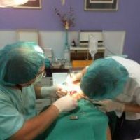 Dr Toni Malbasic